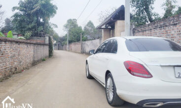 407 Hoa Truc Hoa Thach 1