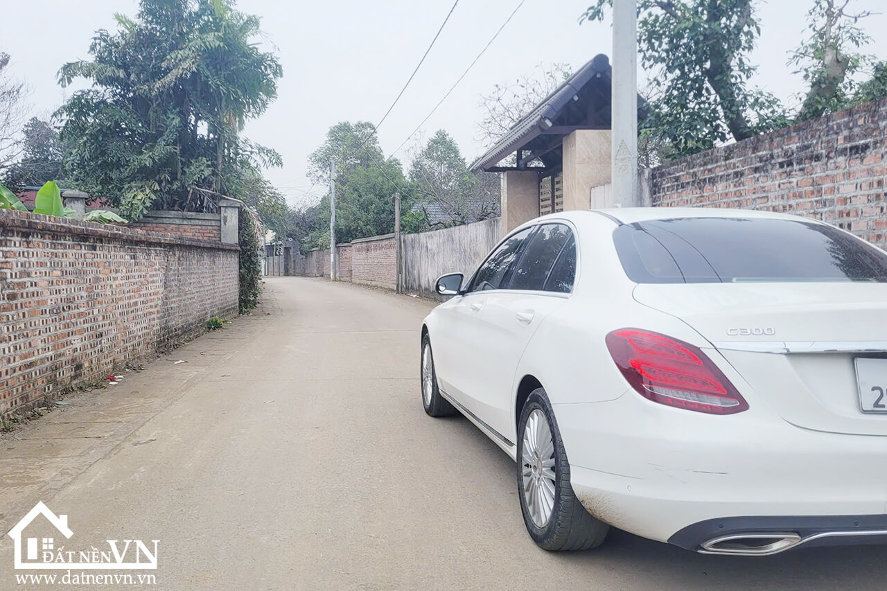 407 Hoa Truc Hoa Thach (1) 407 Hoa Truc Hoa Thach 1