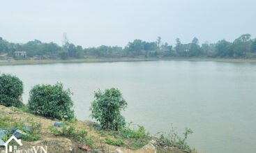 407 Hoa Truc Hoa Thach 2