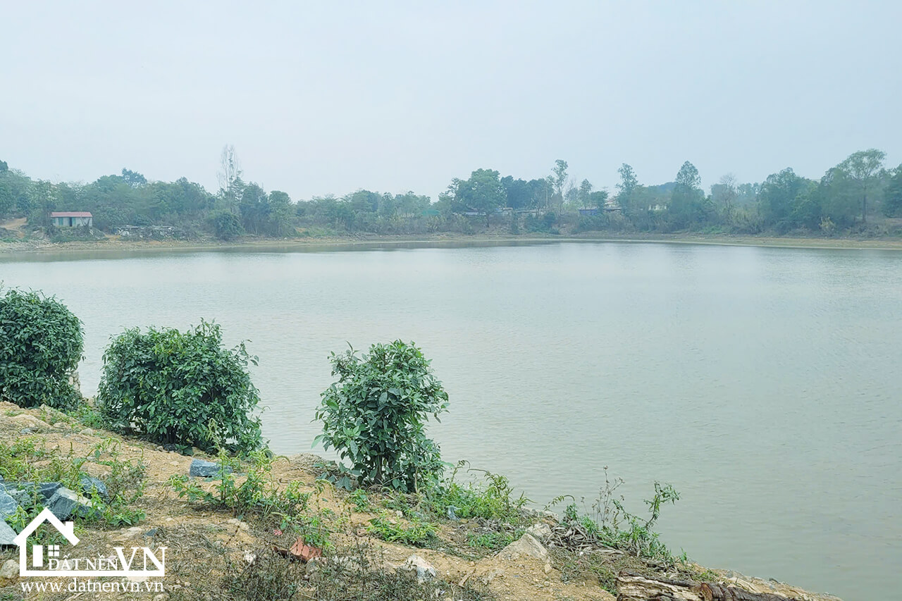 407 Hoa Truc Hoa Thach (2) 407 Hoa Truc Hoa Thach 2