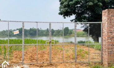 407 Hoa Truc Hoa Thach 4