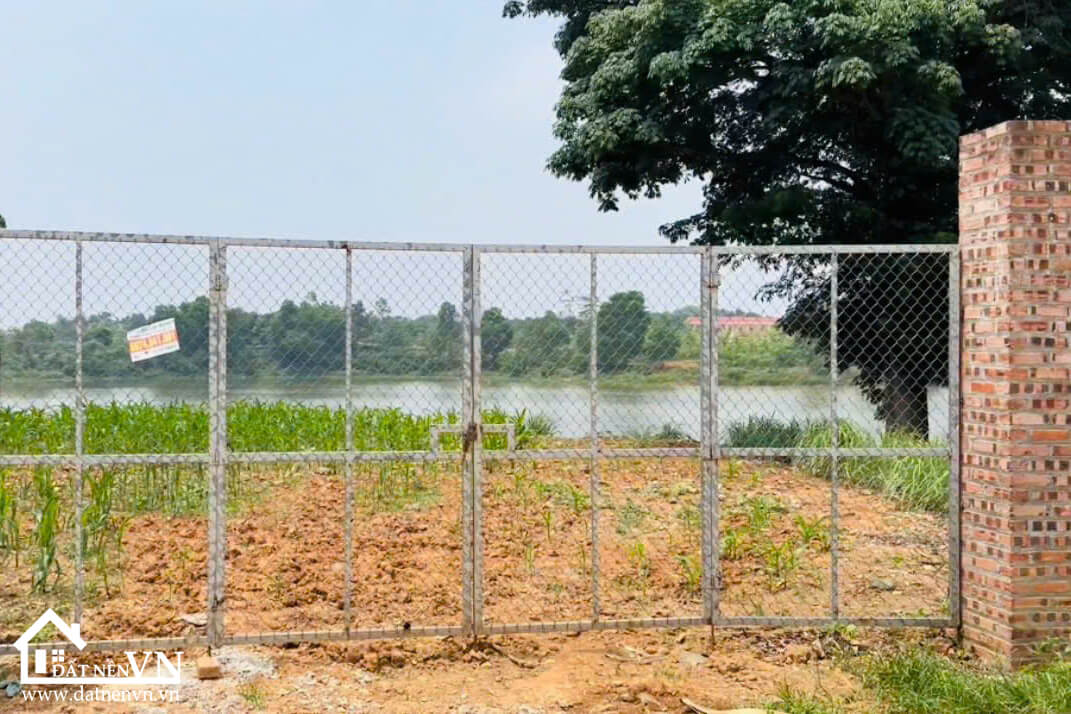 407 Hoa Truc Hoa Thach (4) 407 Hoa Truc Hoa Thach 4