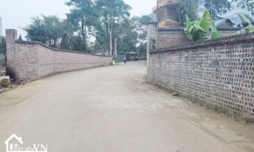 407 Hoa Truc Hoa Thach 5