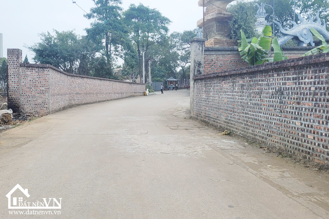 407 Hoa Truc Hoa Thach (5) 407 Hoa Truc Hoa Thach 5