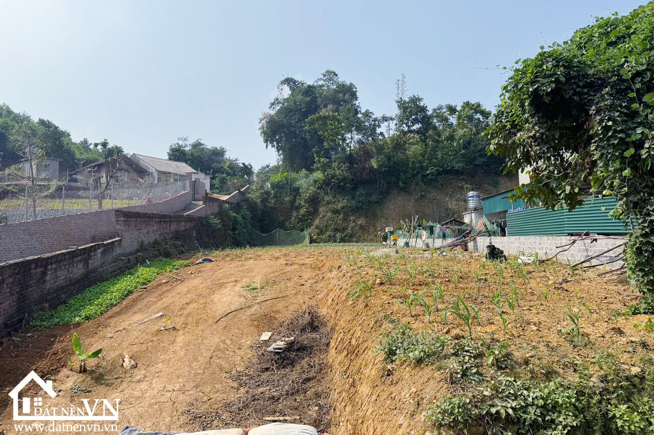 619 Luong Lat Yen Trung (3) 619 Luong Lat Yen Trung 3