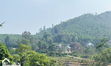 619 Luong Lat Yen Trung 4