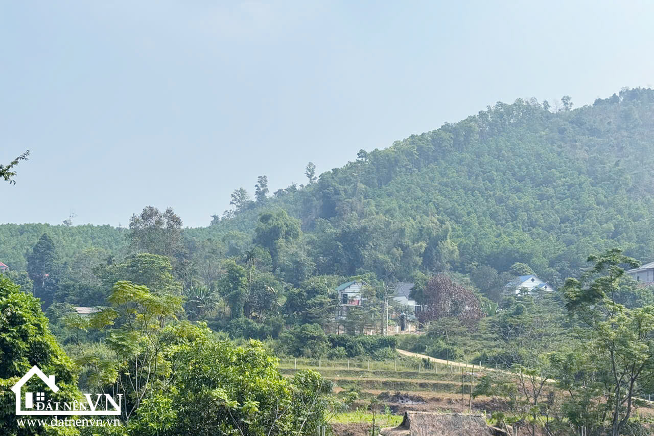 619 Luong Lat Yen Trung (4) 619 Luong Lat Yen Trung 4