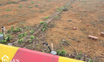 81m2 LK Ho Dong Mo Co Dong Son Tay 3