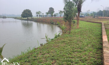 81m2 LK Ho Dong Mo Co Dong Son Tay 4