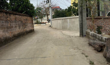 121 Hoa Truc Hoa Thach 2