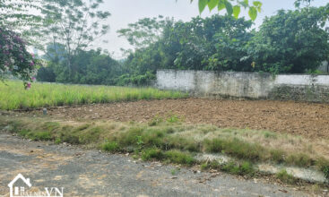 190 Hoa Truc Hoa Thach 2