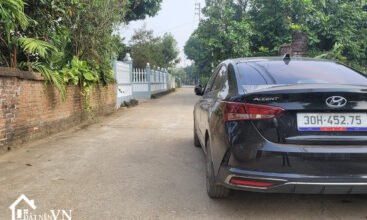 190 Hoa Truc Hoa Thach 3