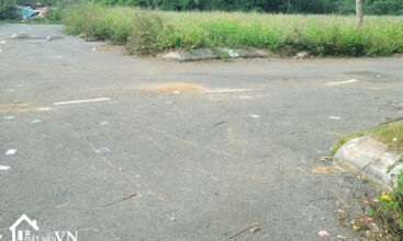 190 Hoa Truc Hoa Thach 5