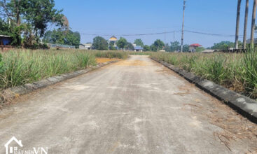 272 Hoa Truc Hoa Thach 2