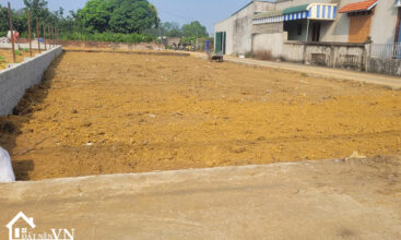 291 Hoa Truc Hoa Thach Quoc Oai 1