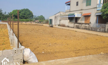 291 Hoa Truc Hoa Thach Quoc Oai 2