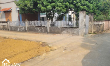 291 Hoa Truc Hoa Thach Quoc Oai 4