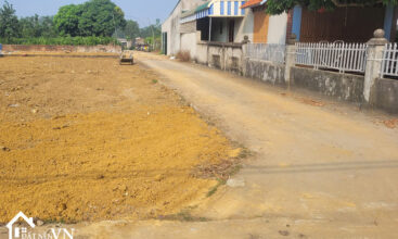 291 Hoa Truc Hoa Thach Quoc Oai 5