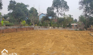 338 Phu Cat 5