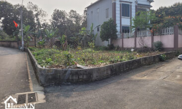 360 thon 3 phu cat 5