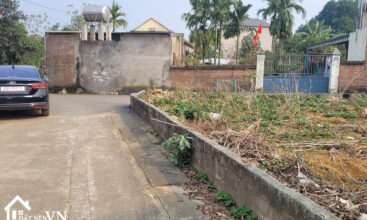 360 thon 3 phu cat 6