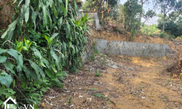 632 Thien Ma Co Dong 1