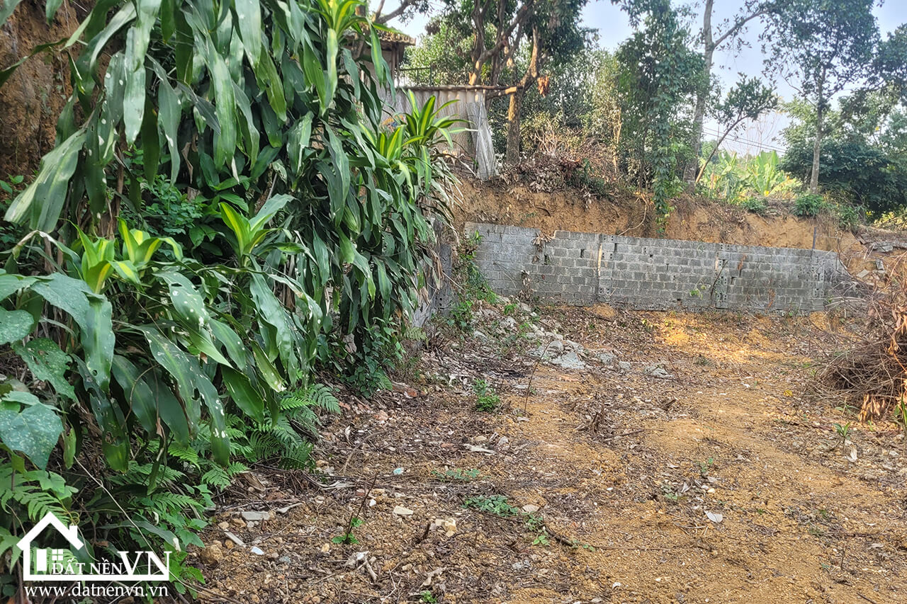 632 Thien Ma Co Dong (1) 632 Thien Ma Co Dong 1