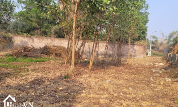Bán Đất Cổ Đông Sơn Tây - Diện Tích 632m2 Cách Quốc Lộ QL21 300m