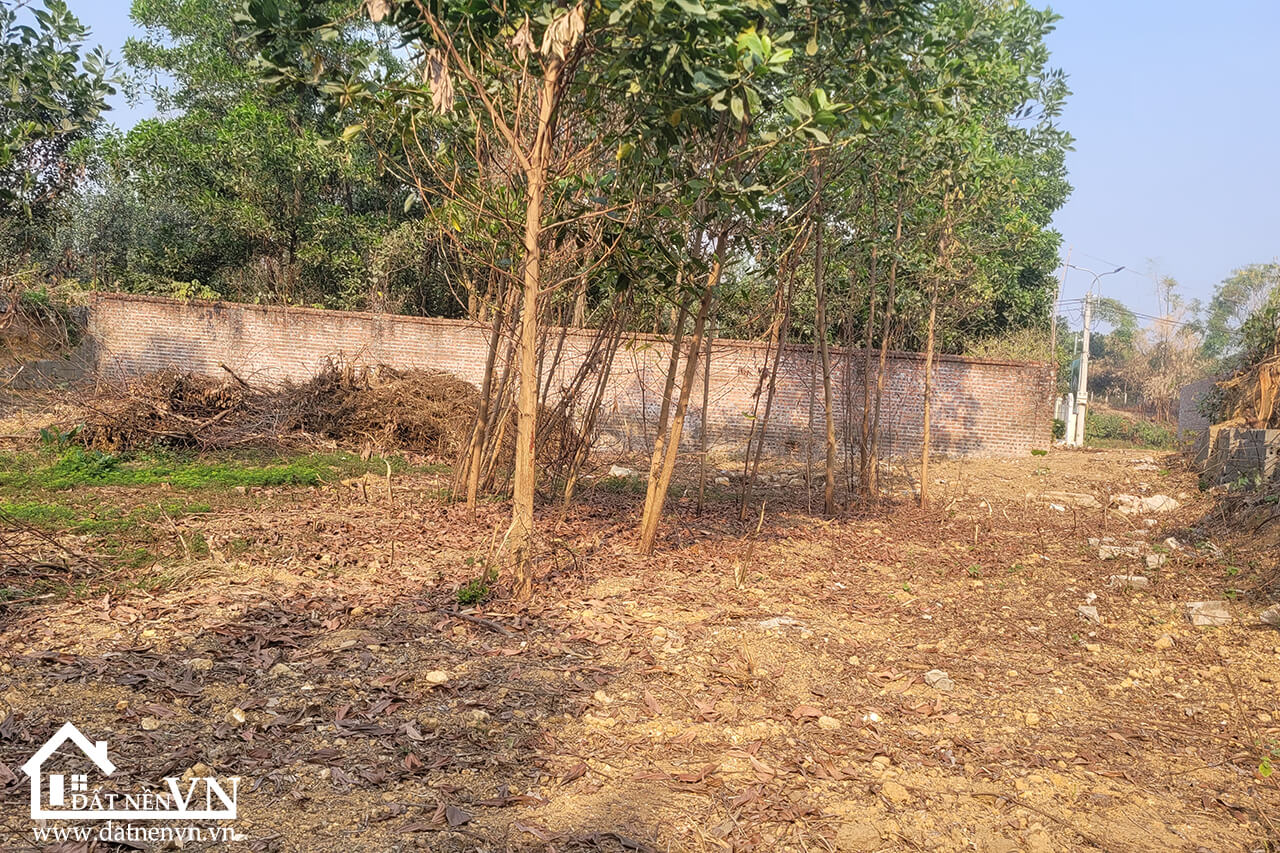 632 Thien Ma Co Dong (5) 632 Thien Ma Co Dong 5