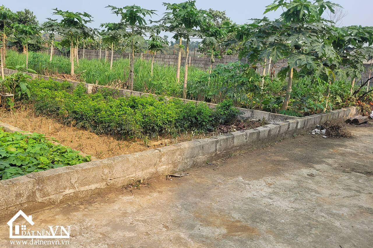 88.9m2 Hoa Truc Hoa Thach (2) 88.9m2 Hoa Truc Hoa Thach 2