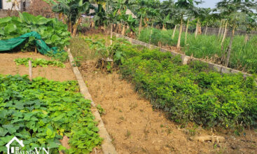 88.9m2 Hoa Truc Hoa Thach 3