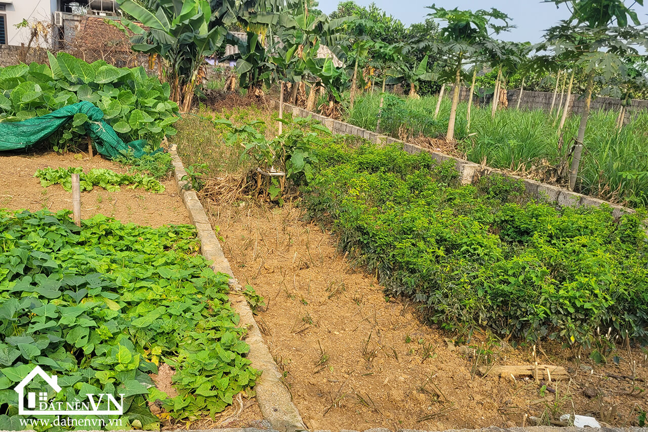 88.9m2 Hoa Truc Hoa Thach (3) 88.9m2 Hoa Truc Hoa Thach 3