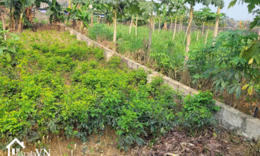 88.9m2 Hoa Truc Hoa Thach 4