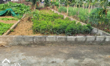 88.9m2 Hoa Truc Hoa Thach 5