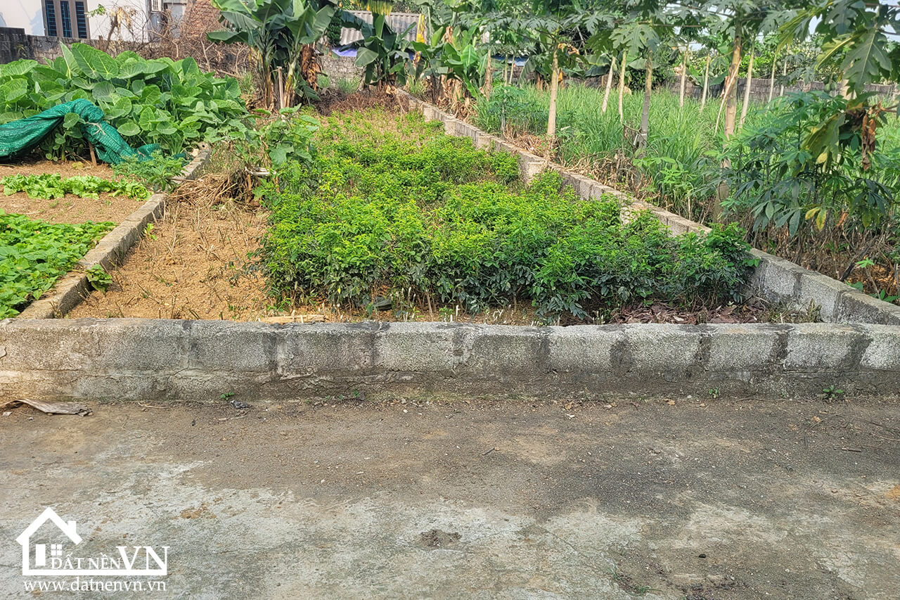 88.9m2 Hoa Truc Hoa Thach (5) 88.9m2 Hoa Truc Hoa Thach 5