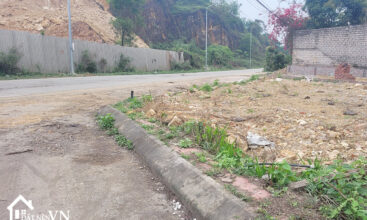 103 dat bai dai tien xuan 1