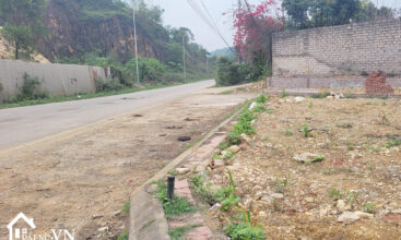 103 dat bai dai tien xuan 2