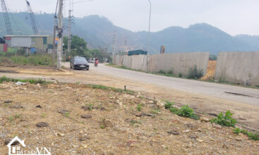 103 dat bai dai tien xuan 3