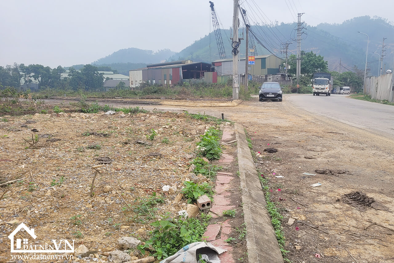 103 dat bai dai tien xuan (4) 103 dat bai dai tien xuan 4