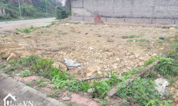 103 dat bai dai tien xuan 5