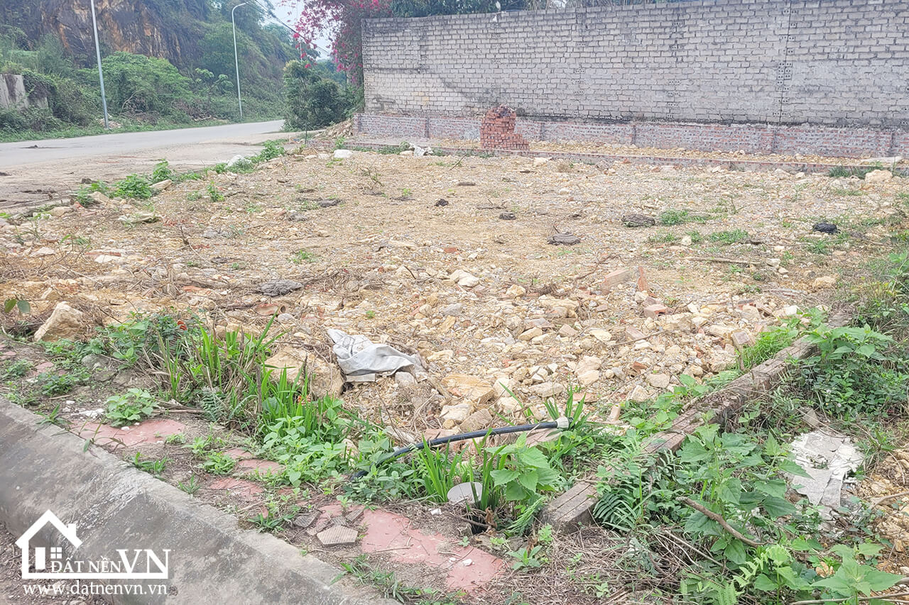 103 dat bai dai tien xuan (5) 103 dat bai dai tien xuan 5