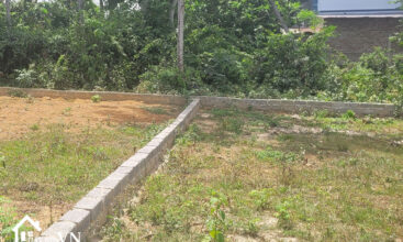250 Bach Thach Hoa Thach 1