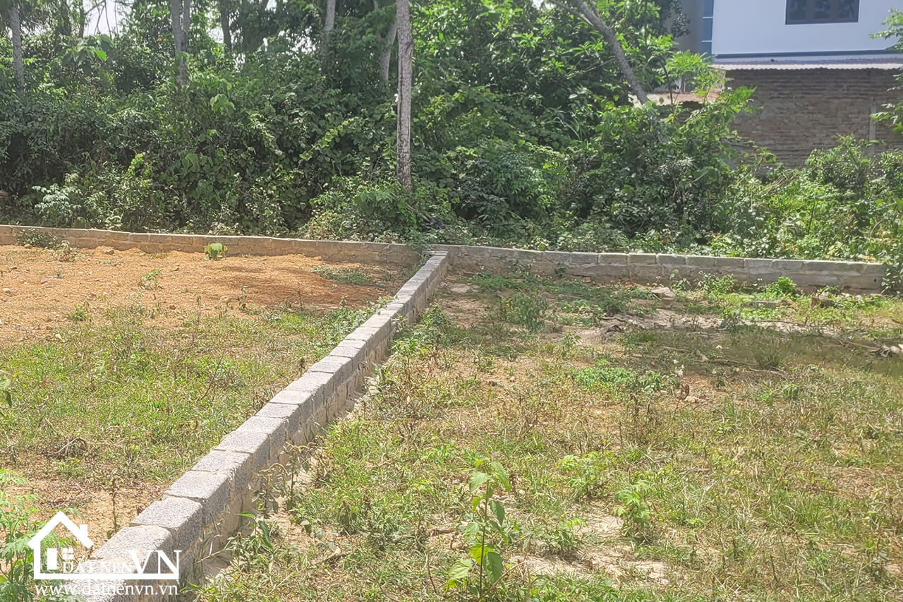 250 Bach Thach Hoa Thach (1) 250 Bach Thach Hoa Thach 1