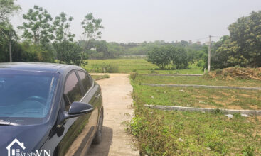 250 Bach Thach Hoa Thach 2