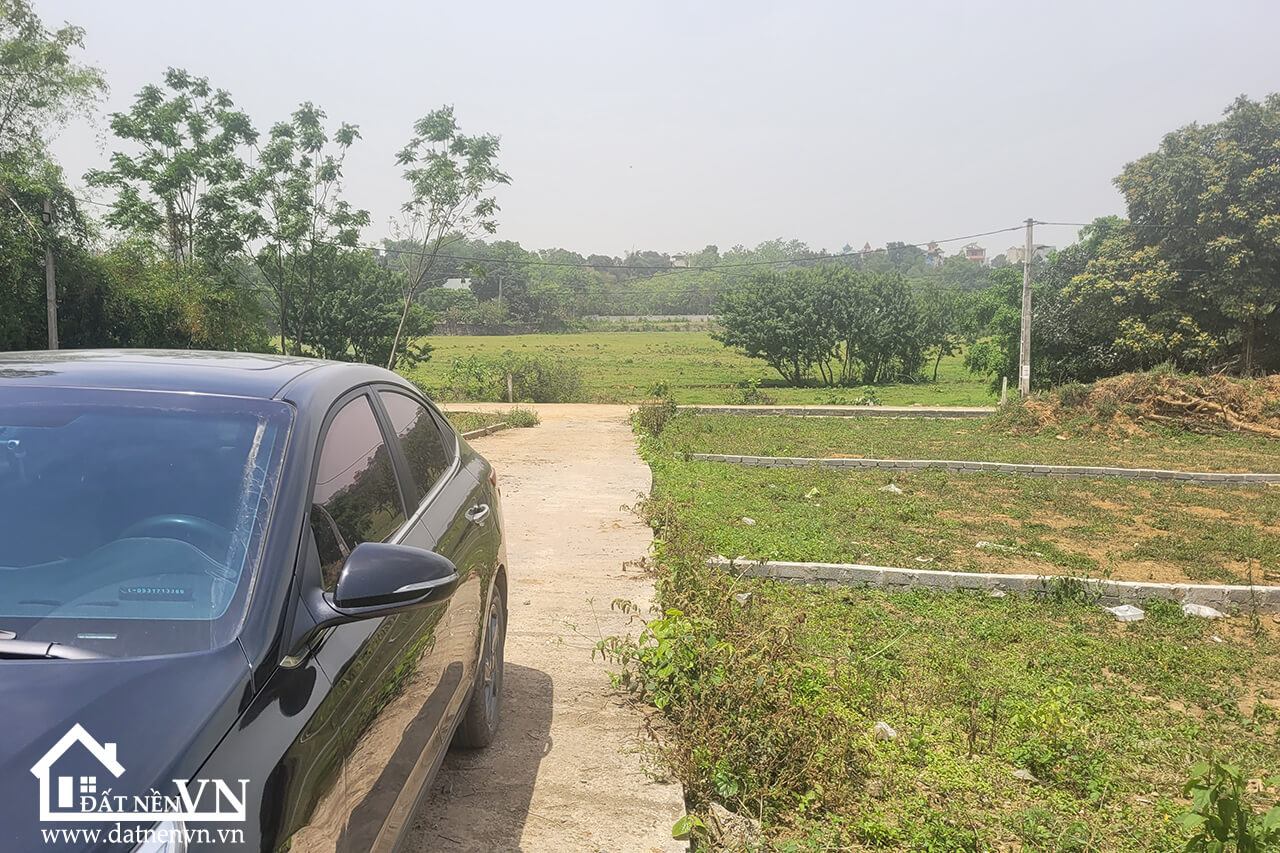250 Bach Thach Hoa Thach (2) 250 Bach Thach Hoa Thach 2