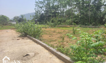 250 Bach Thach Hoa Thach 3
