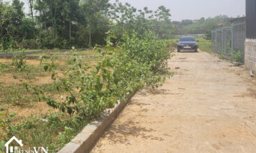 250 Bach Thach Hoa Thach 4