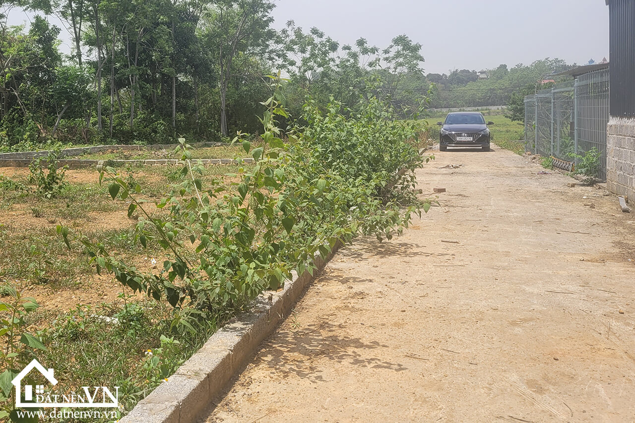 250 Bach Thach Hoa Thach (4) 250 Bach Thach Hoa Thach 4