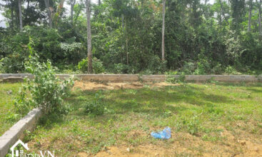 250 Bach Thach Hoa Thach 5