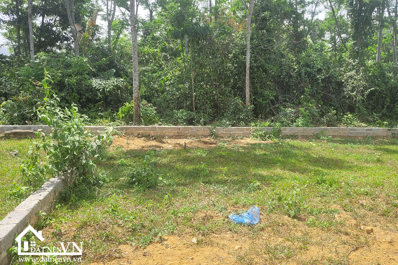 250 Bach Thach Hoa Thach (5) 250 Bach Thach Hoa Thach 5